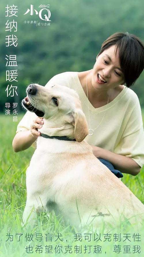 新潟大学Finance Degree Certificate